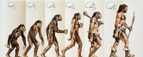 EvolutionToHuman