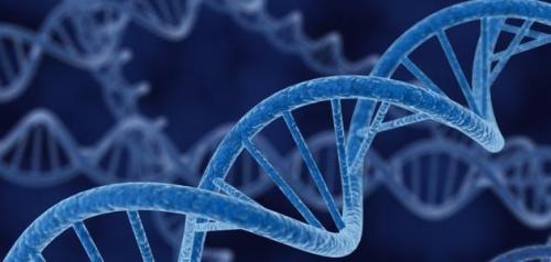 Sejarah Dalam Darah Kita