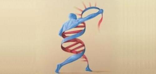 Tujuan Penciptaan Manusia? Pelestari Kode